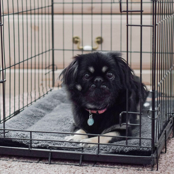 Pet Indoor Insulation Mat Cat's Nest Automatic Heating Nest - Image 2