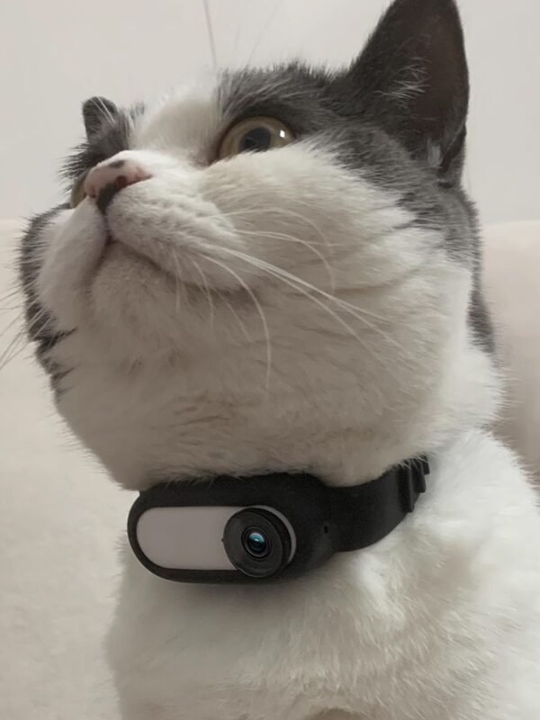 Pet Supplies Cat And Dog Collar Camera Indoor And Outdoor Wireless Recording - Image 7
